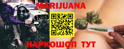 гидра Будённовск