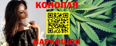 гидра Будённовск
