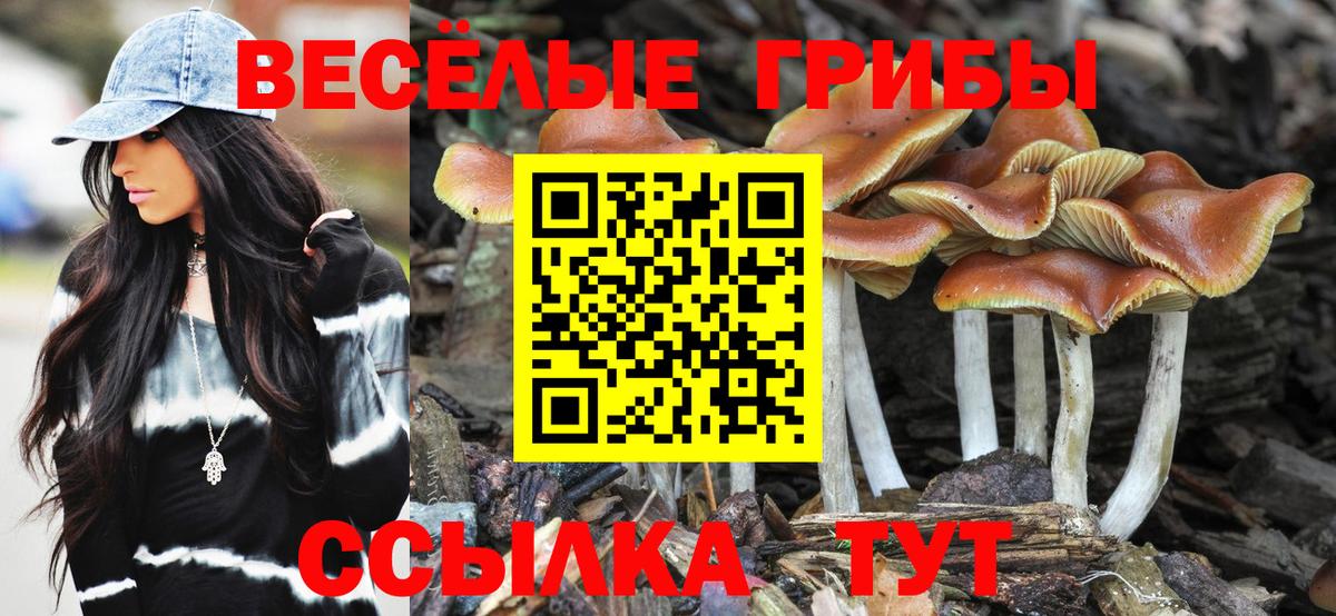 Галлюциногенные грибы прущие грибы Луховицы