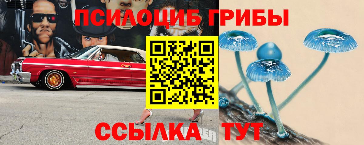 Луховицы  Галлюциногенные грибы мицелий  Вход с VPN 